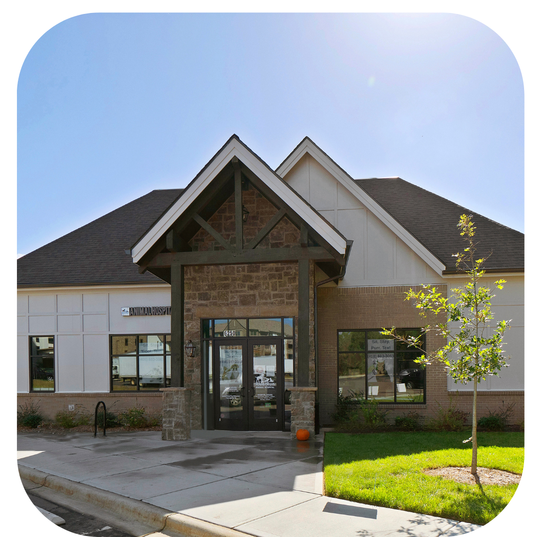 Austin village pet 2024 hospital